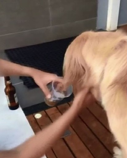 O suspeito disse em depoimento à polícia que o líquido ingerido pelo cão era cerveja sem álcool.