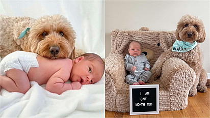 O objetivo da família era registrar o primeiro mês de vida do bebê, mas a sessão contou com a participação especial do cão Bentley. 