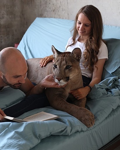 Aleksandr e Mariya Dmitriev com o felino Messi.
