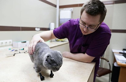 Veterinário Sergei Gorshkov com a gatinha Dymka.
