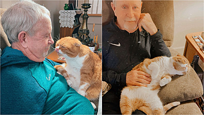 Gato faz amizade com o pai da sua dona e o ajuda na luta contra o câncer.