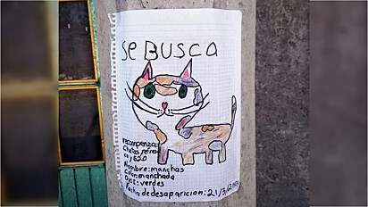 O desenho da gatinha retratada por um menino de Mixquiahuala, México.