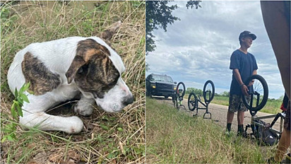 Adolescentes encontram cachorro machucado na estrada e decidem ajudá-lo. 