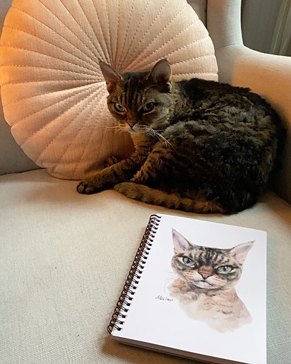 A carinha da gatinha é até retratada em desenho.
