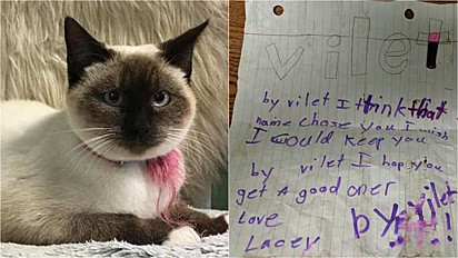 Criança que não tinha condições de cuidar da gatinha deixa bilhete emocionante para que o próximo dono a cuide muito bem.