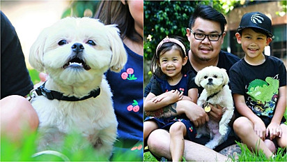Cão reencontra família depois de ficar desaparecido por dois anos.