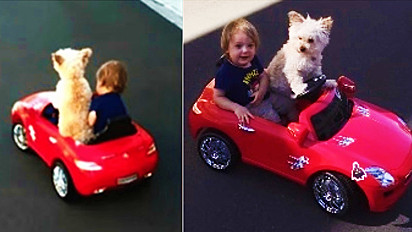 Cadelinha leva bebê para passear em mini Mercedes.