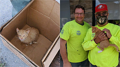 Coletores de lixo de Nova York, Estados Unidos, resgatam filhote de gato que foi abandonado no lixo.