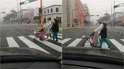 Casal passeia com cachorro acomodado em carrinho de bebê pelas ruas de Lima, Peru.