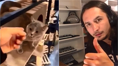 Músico sul-africano faz remix com o miado de um gato e música bomba na internet.