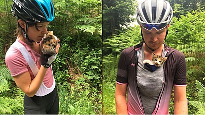 Ciclistas resgatam gata abandonada em floresta.