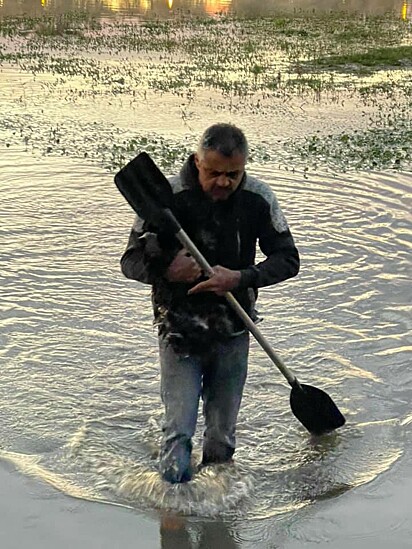 Sem pensar duas vezes, o homem pulou no lago e fez o resgate.