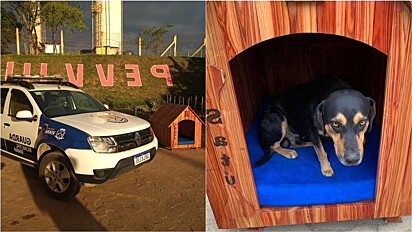Detentos fabricam casinha para cachorro adotado por Guarda Municipal de Viana.