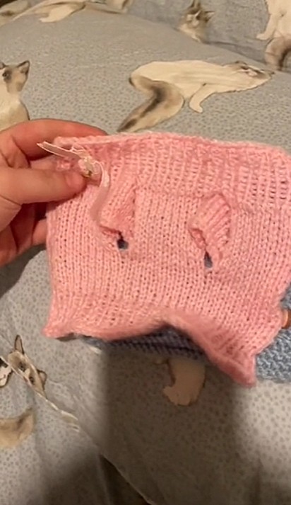 A jovem teve o maior capricho de tricotar as roupinhas para os gatos.