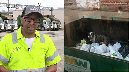 Coletor de lixo encontra cadela abandona em container, resgata e a leva para um abrigo de animais.