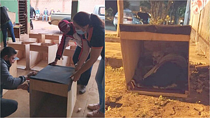 Jovens recolhem materiais políticos descartados nas ruas e constroem casinhas para animais desabrigados.