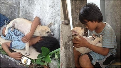 Criança moradora de rua encontra conforto e amizade em cachorro vira-lata.