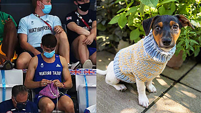 Medalhista Olímpico é flagrado tricotando na arquibancada roupinha para cachorro.