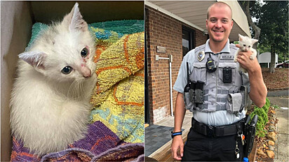 Policial da cidade de Emerald Isle, na Carolina do Norte, nos Estados Unidos, resgata gato perdido em ponte movimentada.