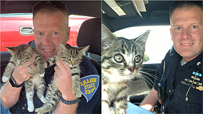Policial resgata dois gatinhos abandonados em caixa transportadora em via movimentada.