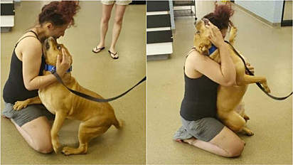 Após dois anos do desaparecimento, mulher reencontra o seu cão.