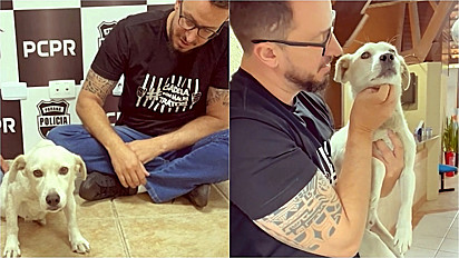 Delegado Matheus Laiola resgata cadela paraplégica abandonada pela tutora.