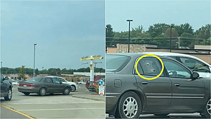 Mulher flagrou vaca dentro do carro em drive-thru do McDonalds.