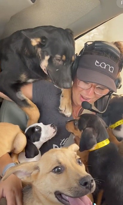  Cassandra está rodeada pelos cães