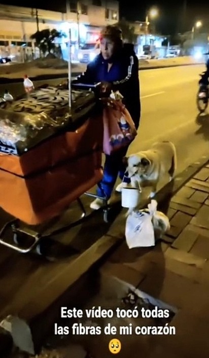 Cão e vendedor ambulante estão na rua