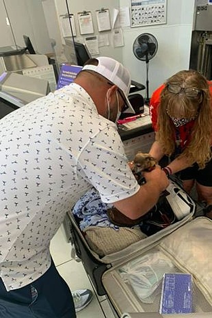 O casal decidiu reorganizar a mala e ao abri-la encontraram o cachorrinho da família.
