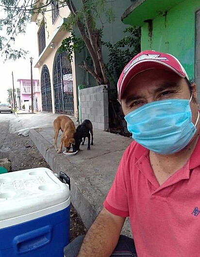 Jorge alimenta os cães de rua diariamente.