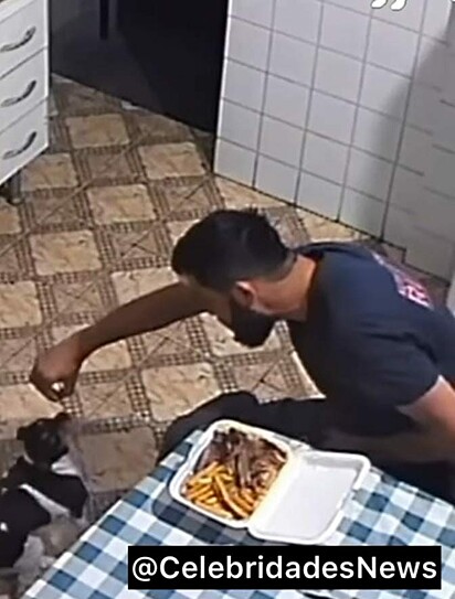 Tutor dando um pedaço de carne à cachorrinha.