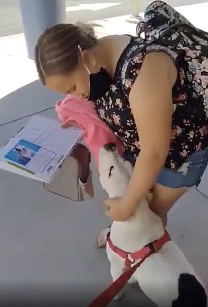 Alexandria encontrando o cão pela primeira vez após a escola.