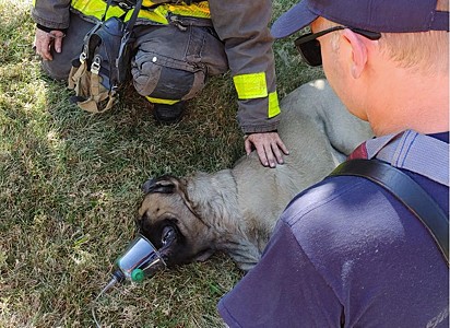 George respirando com ajuda de oxigênio após o resgate.