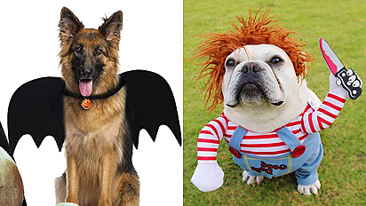 Ideias de fantasias de Halloween para comprar para cachorros.