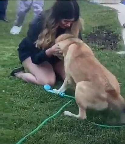Adolescente abraça cão que ficou desaparecido por dois meses.