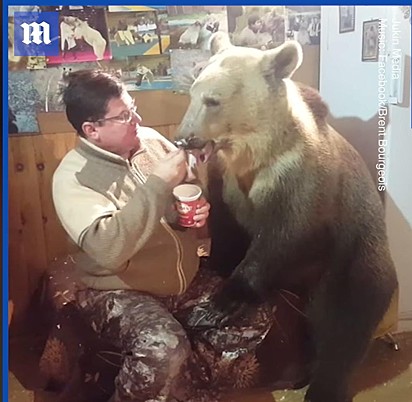 Urso sentado ao lado do tutor enquanto ganha seu sorvete favorito.