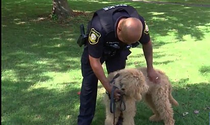 Cãozinho com seu policial treinador.