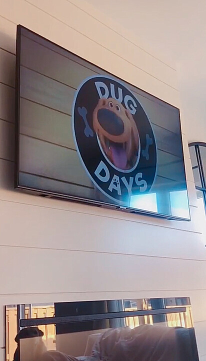 A série Dug Days está passando na televisão