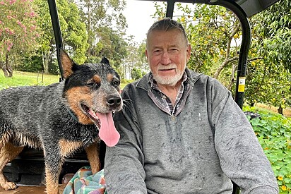  Sr. Bilbe está de volta para casa com seus cães, em sua fazenda de abacate e macadâmia.
