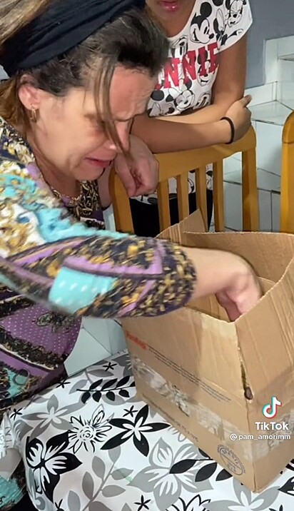 Mulher pegando papagaio de dentro da caixa.
