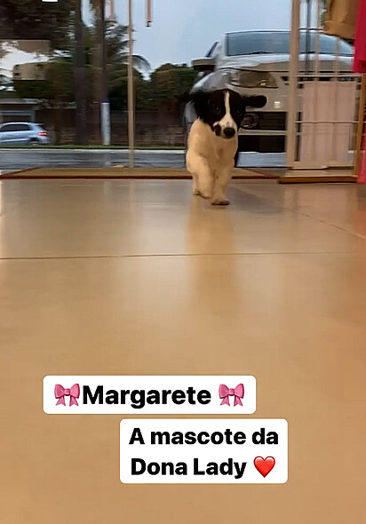 Margarete virou mascote de loja