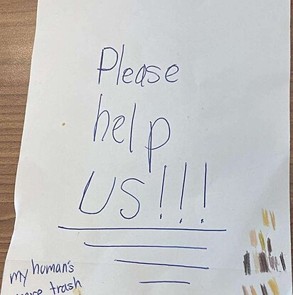 O bilhete deixado com a gatinha onde diz por favor nos ajude.