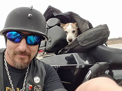 O homem e o cachorrinho durante a viagem de moto.
