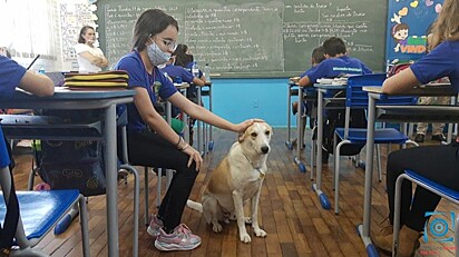 Aluna passando a mão na cabeça do cachorro durante aula.