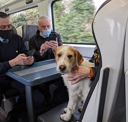 Kapsel está no trem sentado junto com outros passageiros.