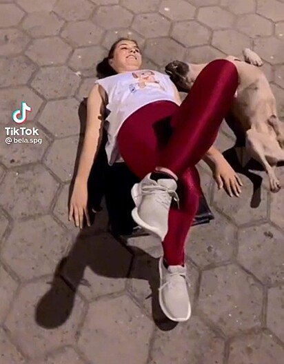 Cachorro deitado no chão imitando Izabela no treino.