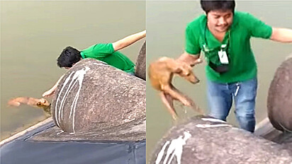 Homens resgatam cãozinho de afogamento.