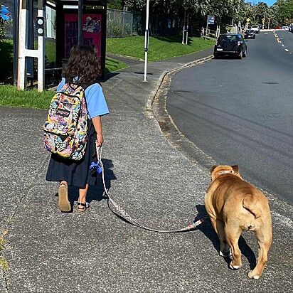 A menininha levando a cadela para passear.
