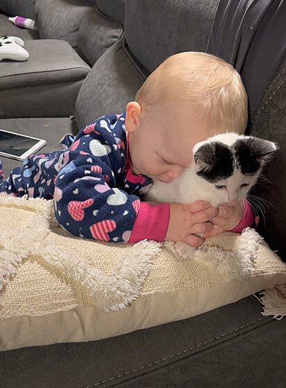 O bebê está beijando o gatinho